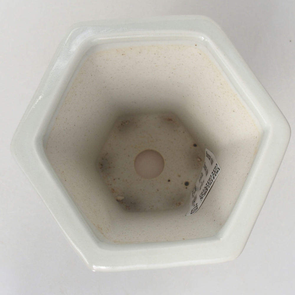 Ciotola per bonsai in ceramica 10 x 9 x 9 cm, colore bianco