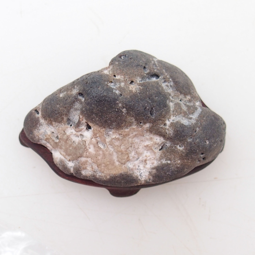 Suiseki - Pietra con DAI (base in legno)