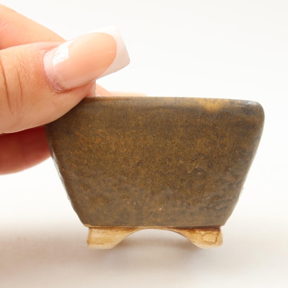 Ciotola per bonsai in ceramica 6 x 6 x 4 cm, marrone