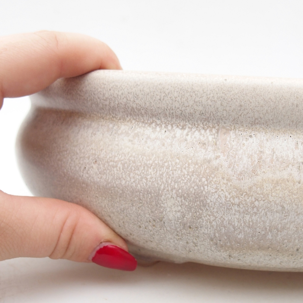 Ciotola per bonsai in ceramica 24 x 24 x 8 cm, colore beige