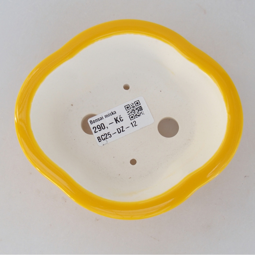 Ciotola bonsai in ceramica 13 x 12 x 5 cm, giallo