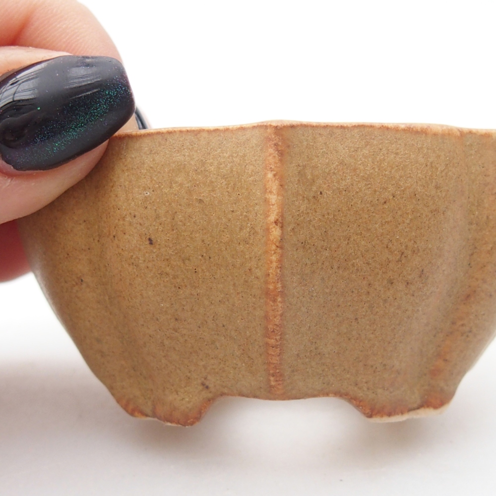 Ciotola per mini bonsai 7 x 5 x 3 cm, marrone