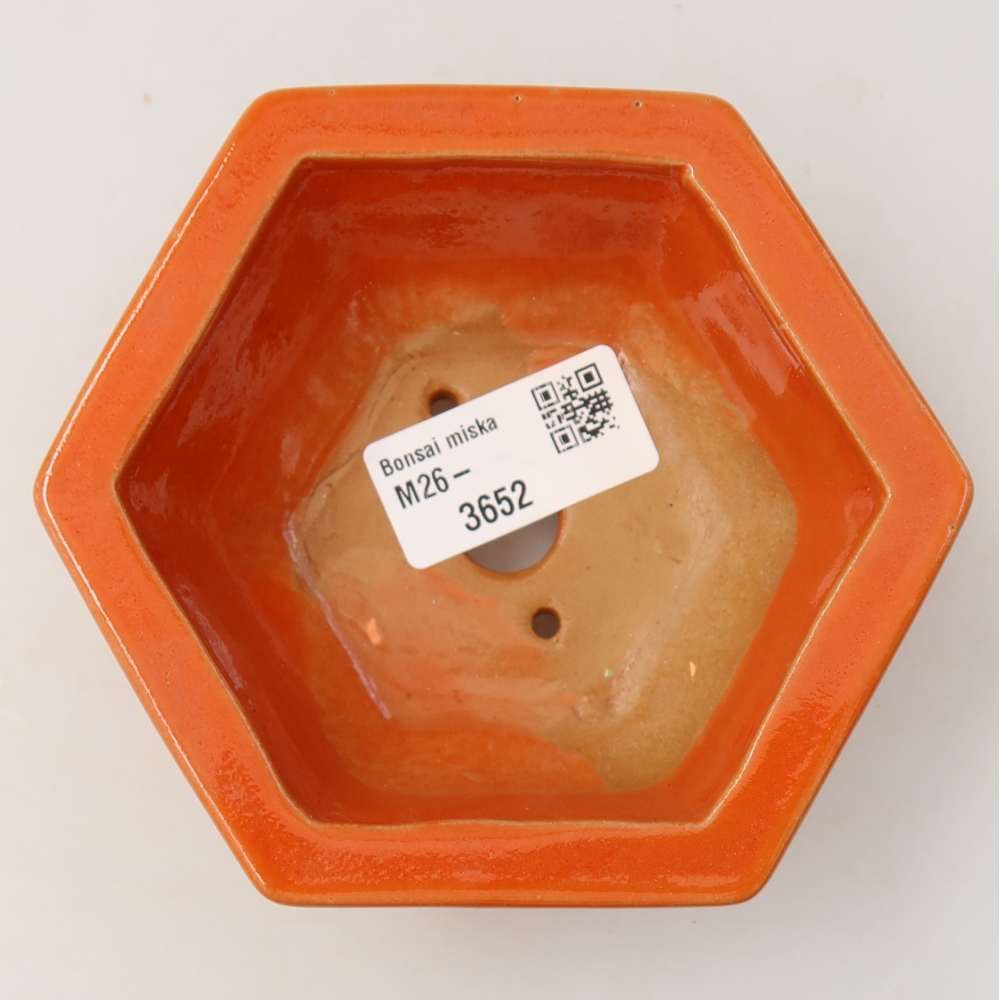 Ciotola per bonsai in ceramica 12 x 10,5 x 4,5 cm, arancione