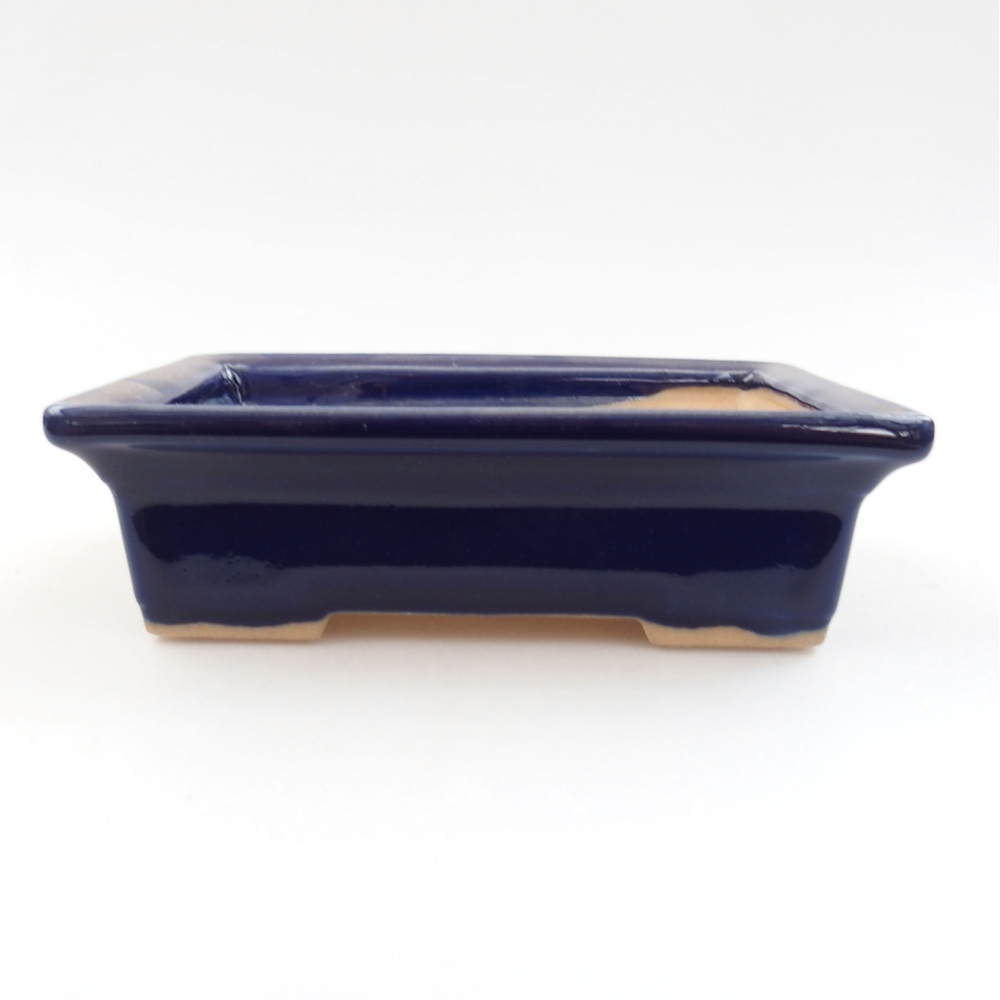 Ciotola bonsai in ceramica 22 x 17 x 5 cm, verde