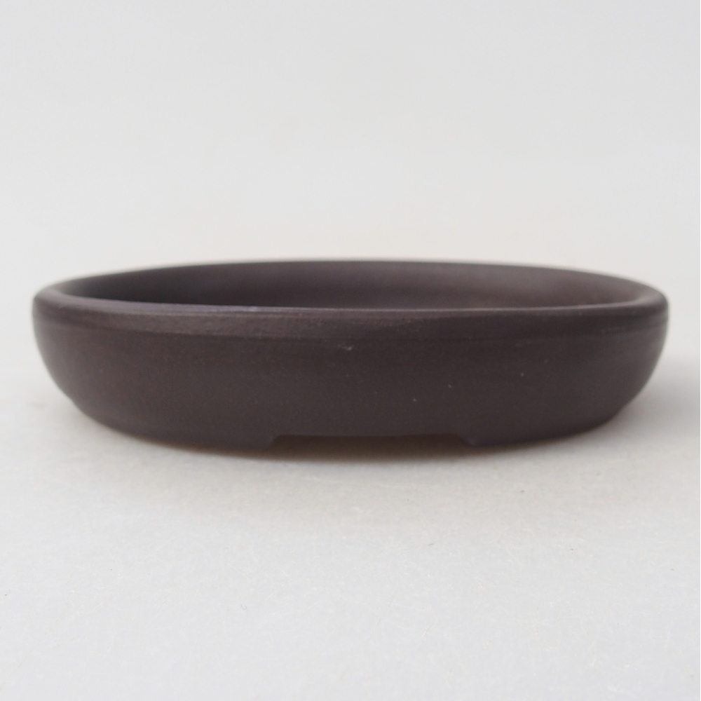 Mini bonsai 9 x 7,5 x 2 cm, marrone