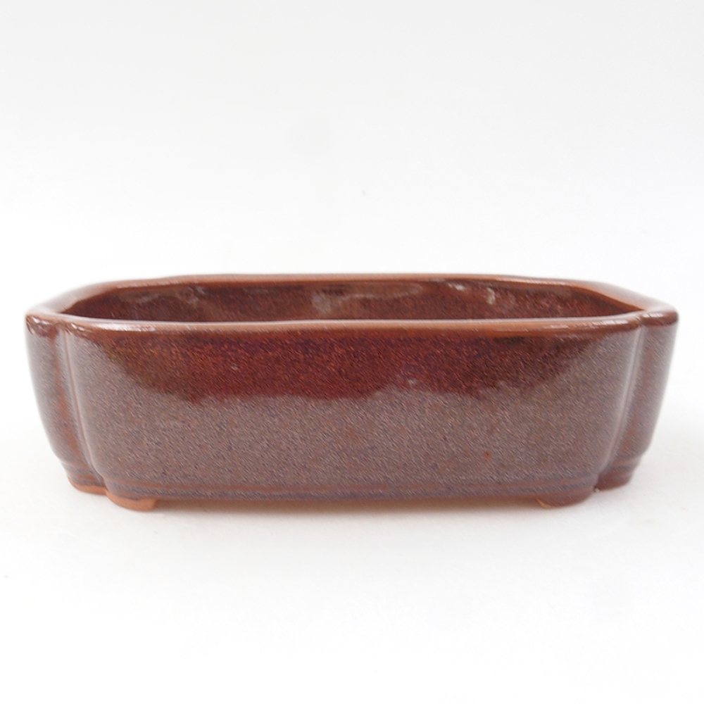 Ciotola per bonsai in ceramica 15 x 11,5 x 4,5 cm, marrone