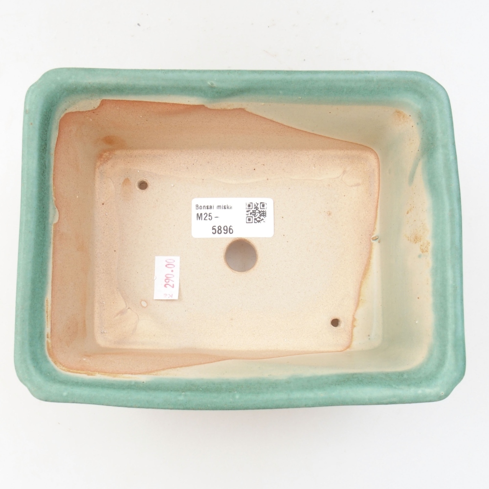 Ciotola bonsai in ceramica 22 x 17 x 5 cm, verde