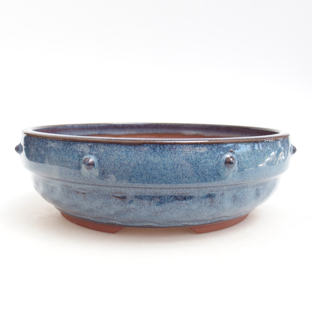 Ciotola bonsai in ceramica 21 x 21 x 6,5 cm, colore blu