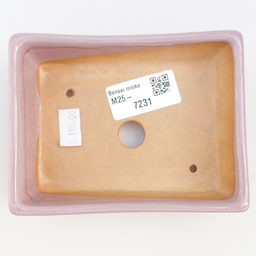 Ciotola bonsai in ceramica 26 x 26 x 8 cm, colore rosso