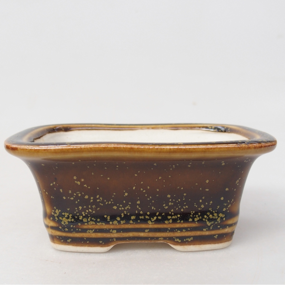 Mini bonsai 10 x 7,5 x 4 cm, giallo