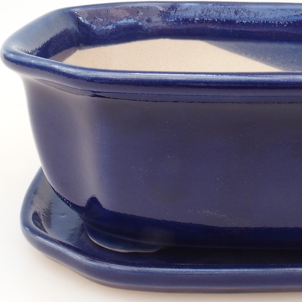 Ciotola bonsai + piattino H32 - blu