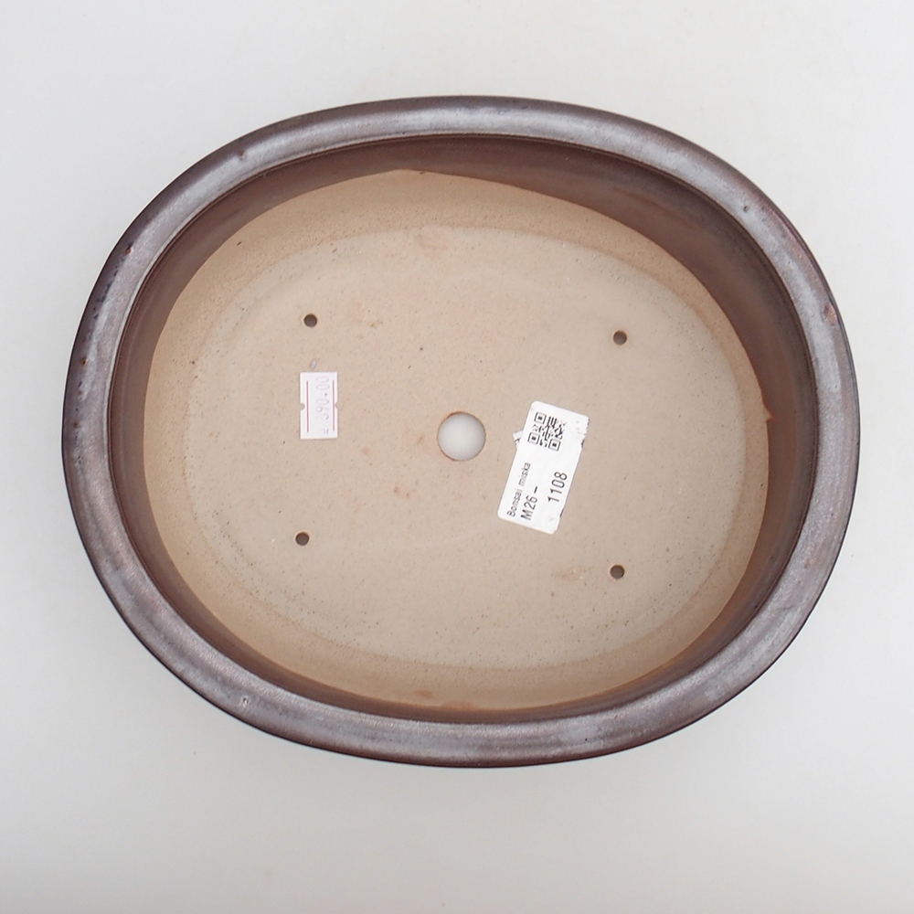 Ciotola bonsai in ceramica 23 x 19 x 7 cm, bordeaux