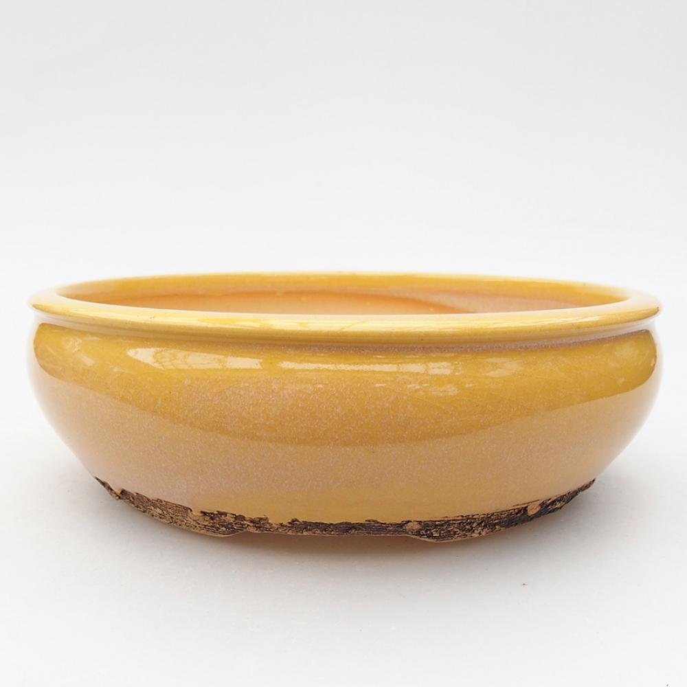Ciotola per bonsai in ceramica 18,5 x 18,5 x 6 cm, giallo