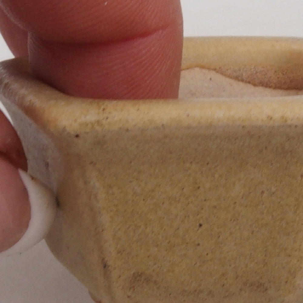 Ciotola per mini bonsai 5 x 4,5 x 3 cm, marrone