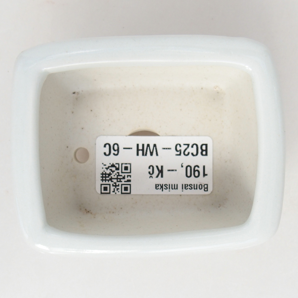 Mini bonsai 8 x 6,5 x 3,5 cm, bianco