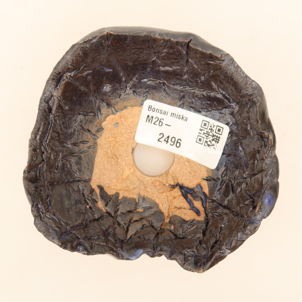 Guscio in ceramica  9,5 x 9,5 x 5 cm, colore blu-nero