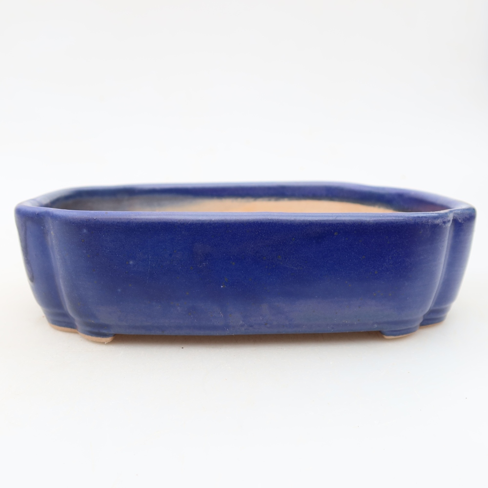 Ciotola bonsai in ceramica 16 x 11,5 x 4 cm, colore blu