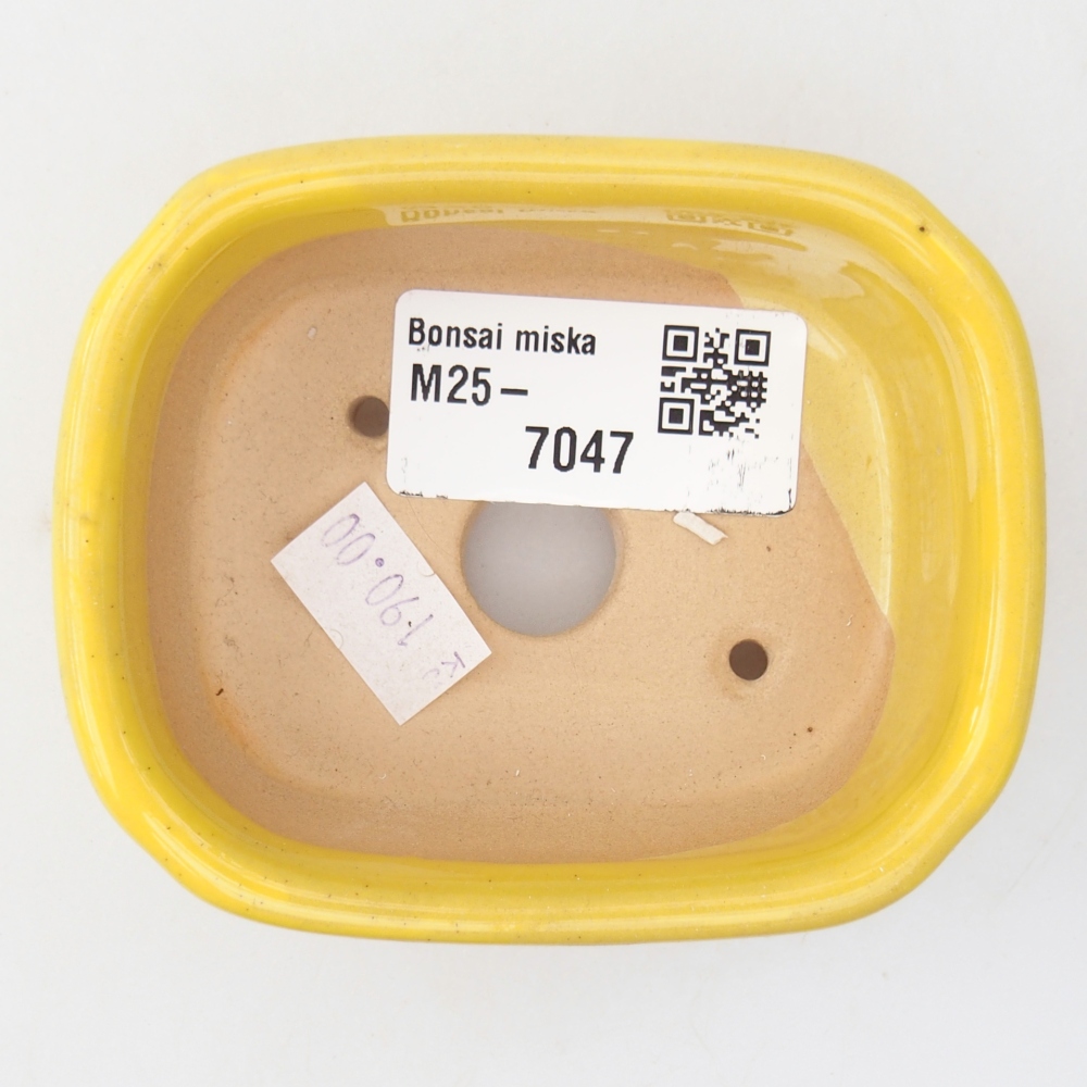 Ciotola bonsai in ceramica 26 x 26 x 8 cm, colore rosso