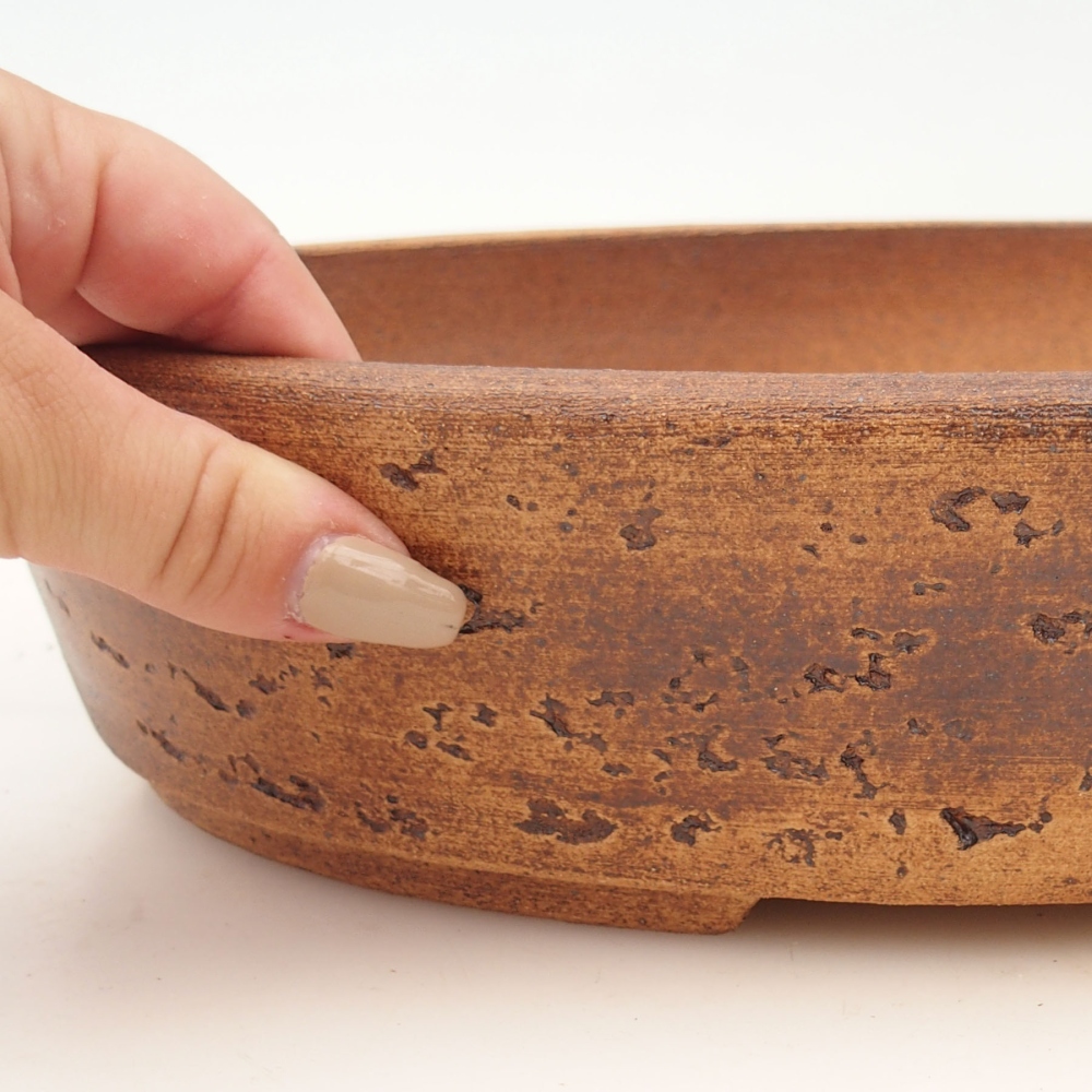 Ciotola per bonsai 32 x 25 x 7,5 cm , colore marrone