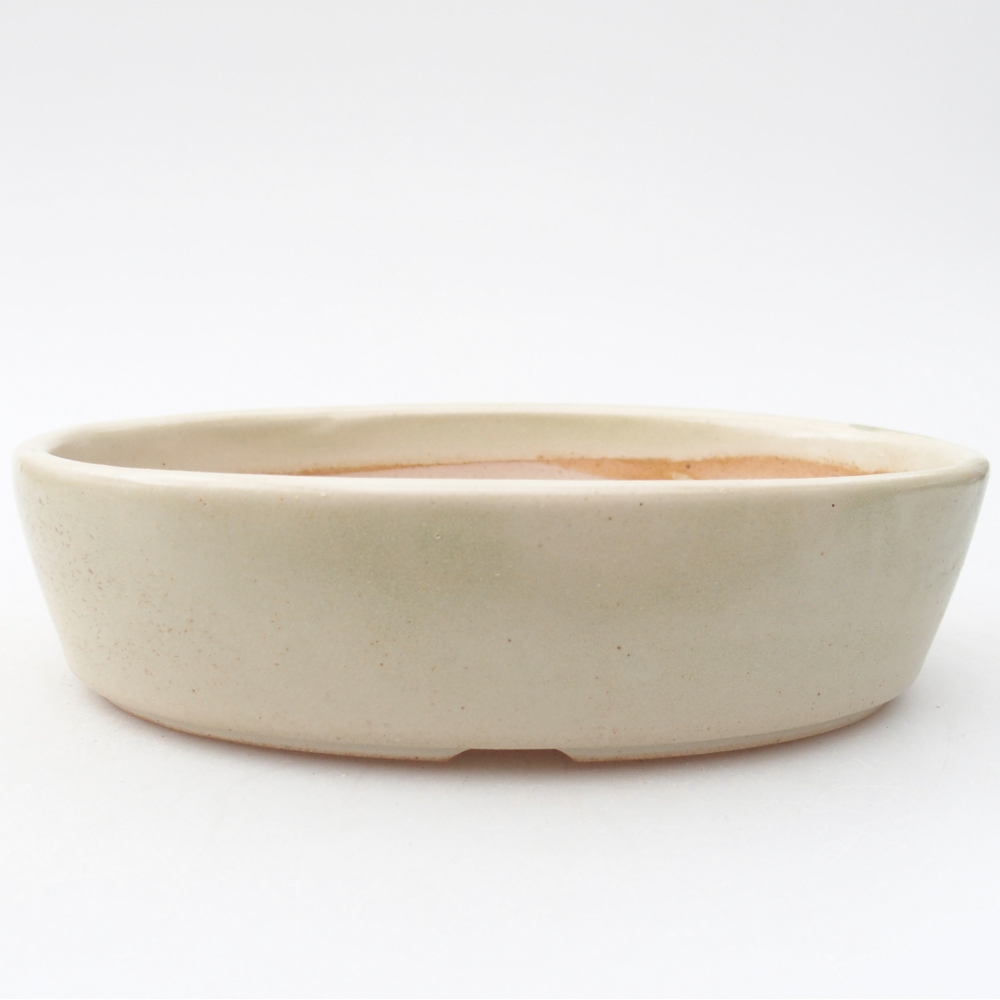 Ciotola per bonsai in ceramica 16,5 x 11,5 x 4,5 cm, colore beige