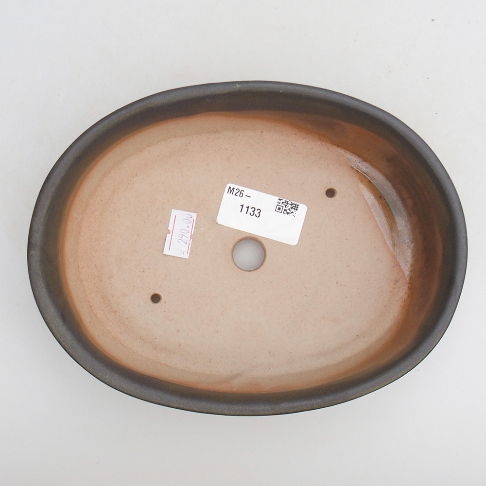 Ciotola bonsai in ceramica 19 x 14 x 4,5 cm, verde