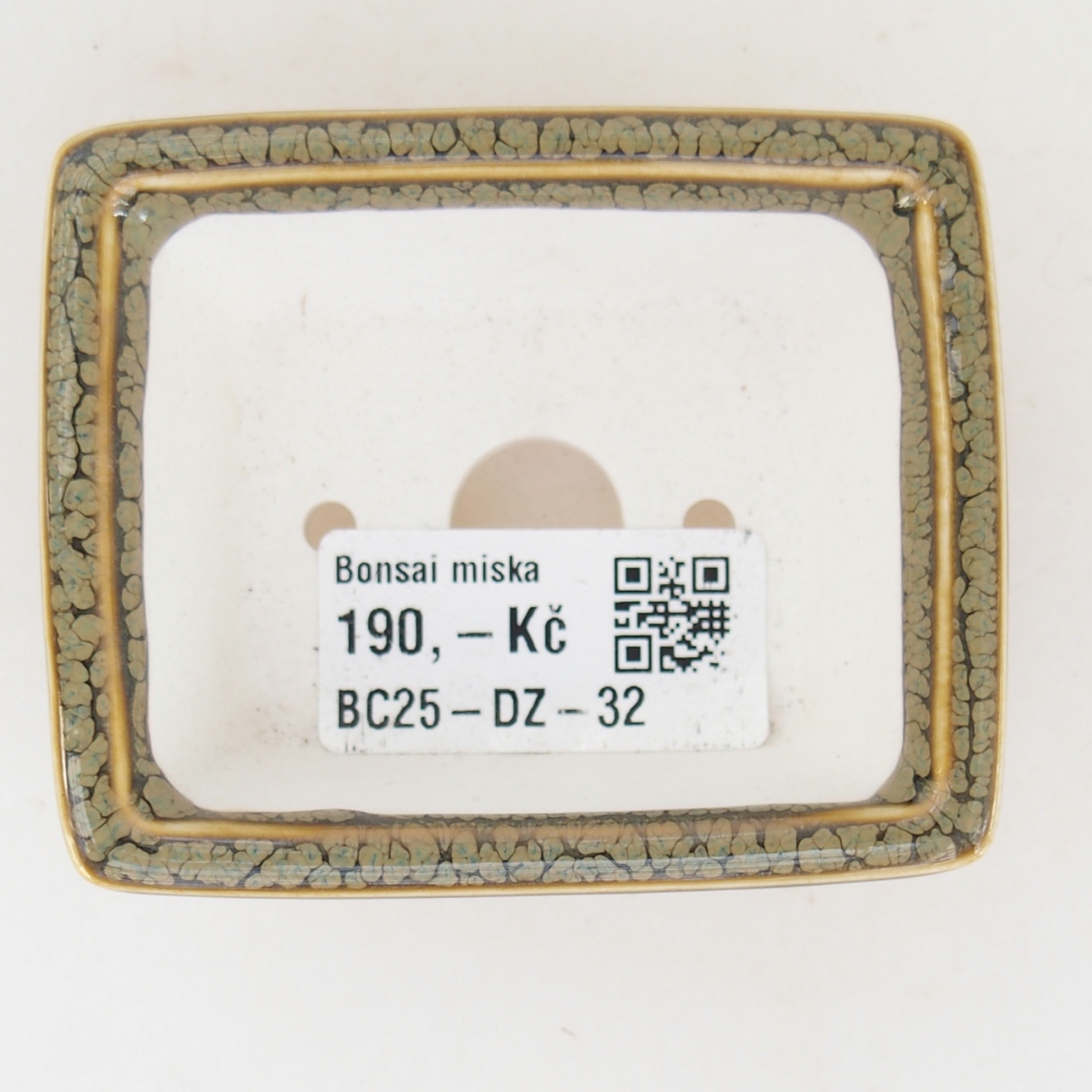 Mini bonsai 7,5 x 6 x 3 cm, verde