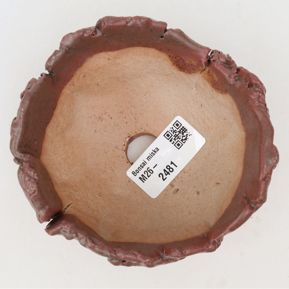 Guscio in ceramica  10,5 x 10,5 x 6 cm, colore rosa