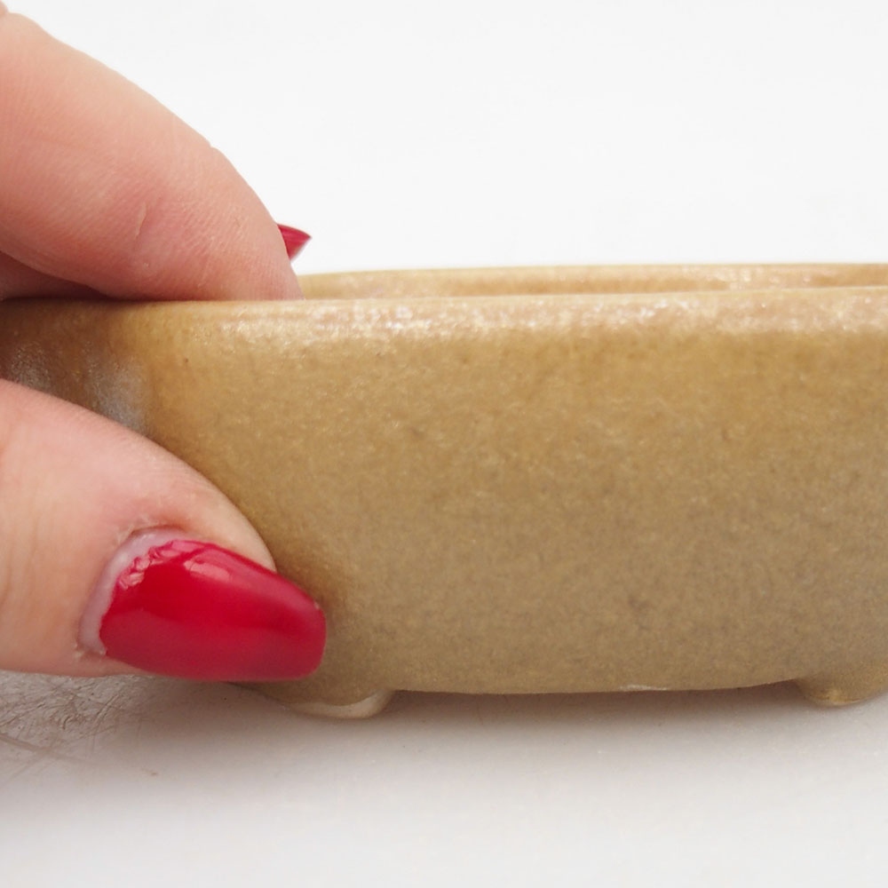 Ciotola per bonsai in ceramica 125 x 10 x 3 cm, marrone