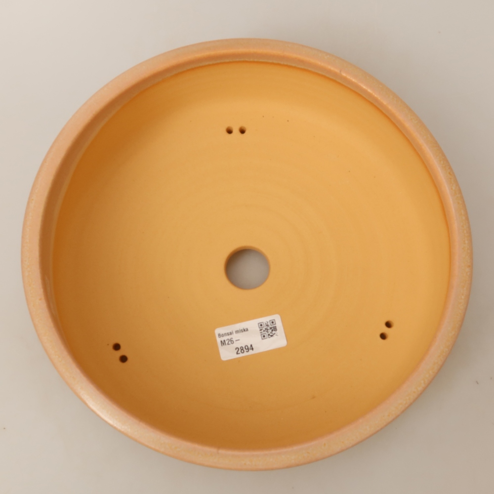 Ciotola per bonsai in ceramica 24,5 x 24,5 x 7 cm, colore beige