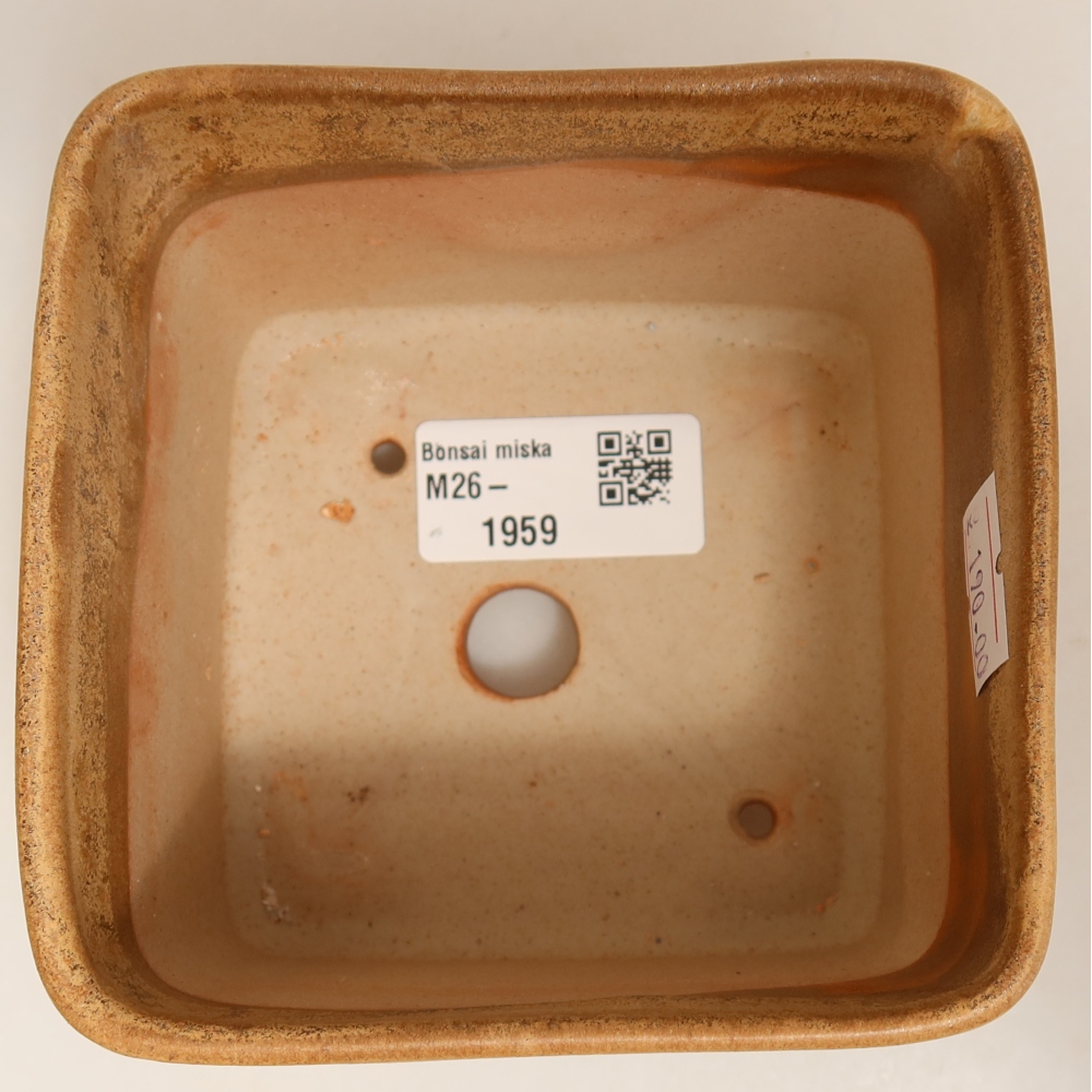 Vaso da bonsai in ceramica 10 x 10 x 8,5 cm, colore beige