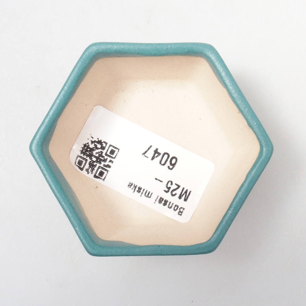 Ciotola bonsai in ceramica 6,5 x 5,5 x 4 cm, colore blu