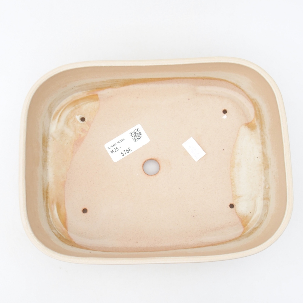 Ciotola bonsai in ceramica 23 x 17,5 x 5,5 cm, colore beige