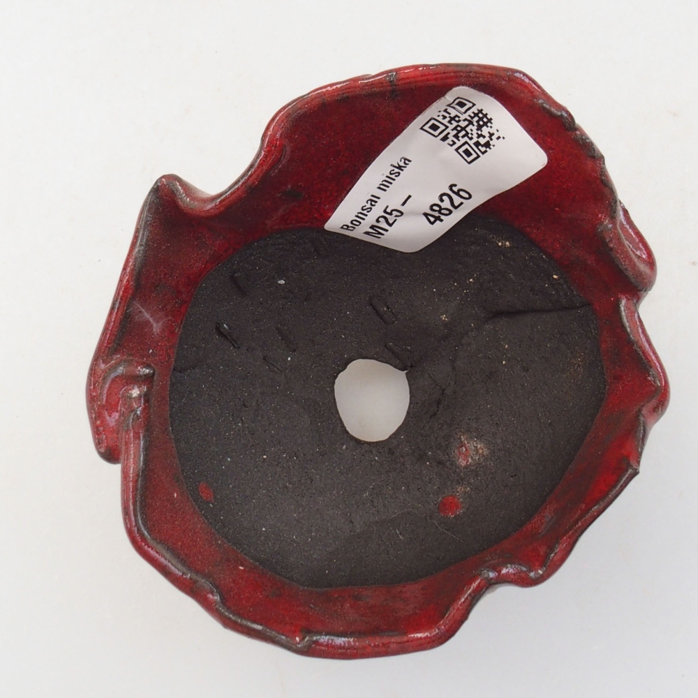 Conchiglia in ceramica 8,5 x 8 x 6 cm , colore rosso