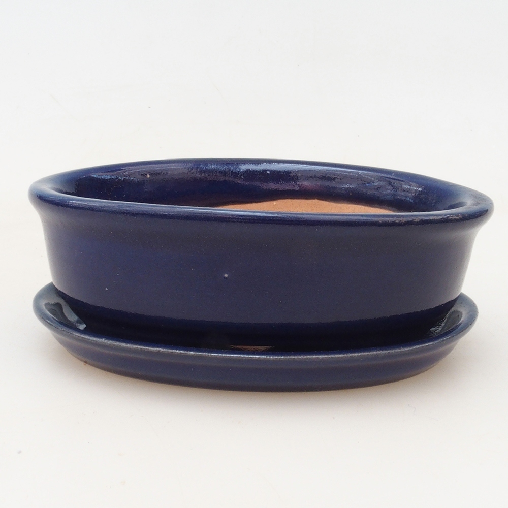 Ciotola bonsai + piattino H04 - blu