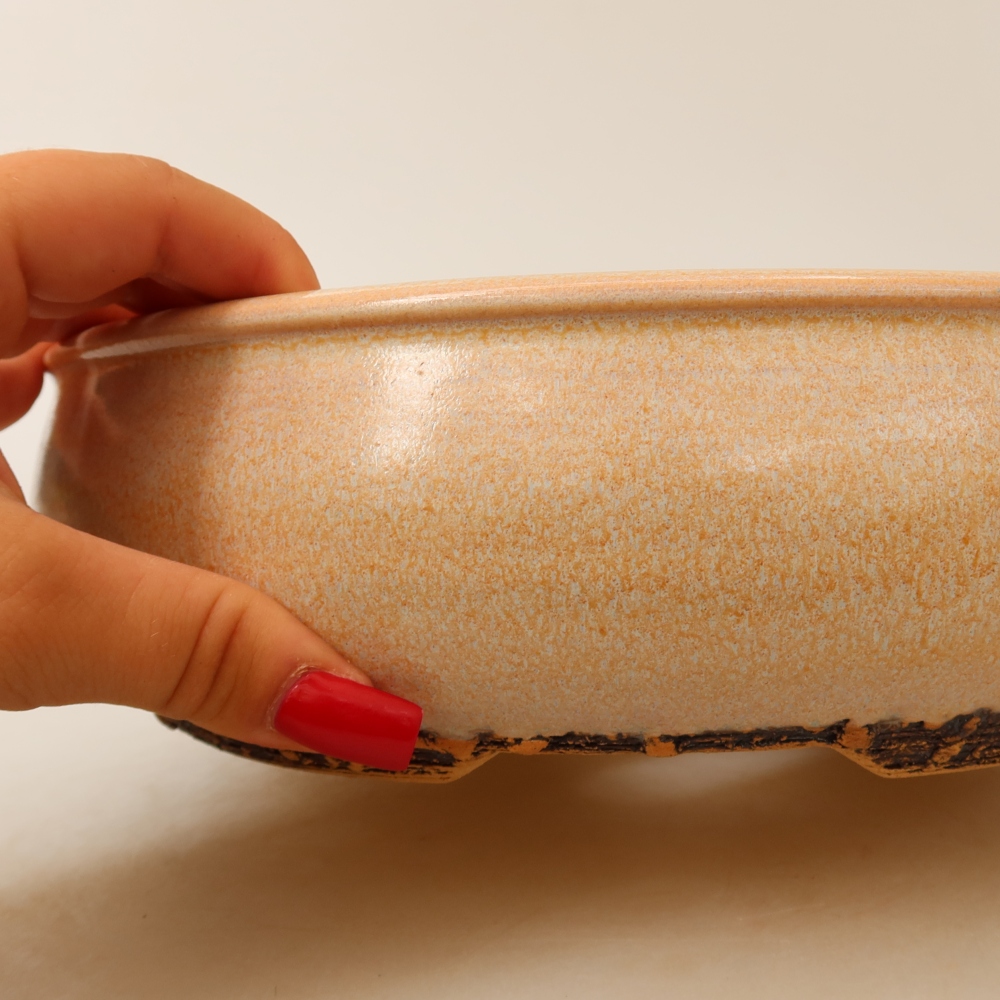 Ciotola bonsai in ceramica 24 x 24 x 7 cm, colore beige