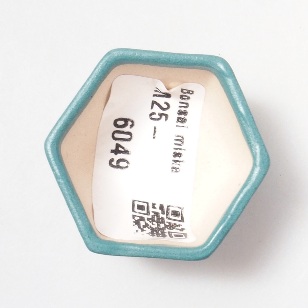 Ciotola bonsai in ceramica 6,5 x 5,5 x 4 cm, colore blu