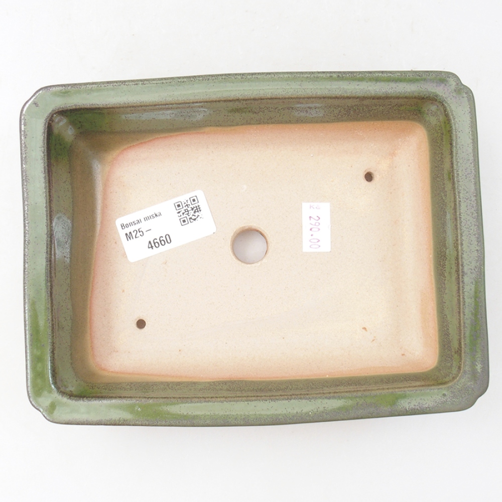 Ciotola per bonsai in ceramica 17,5 x 13 x 4 cm, verde