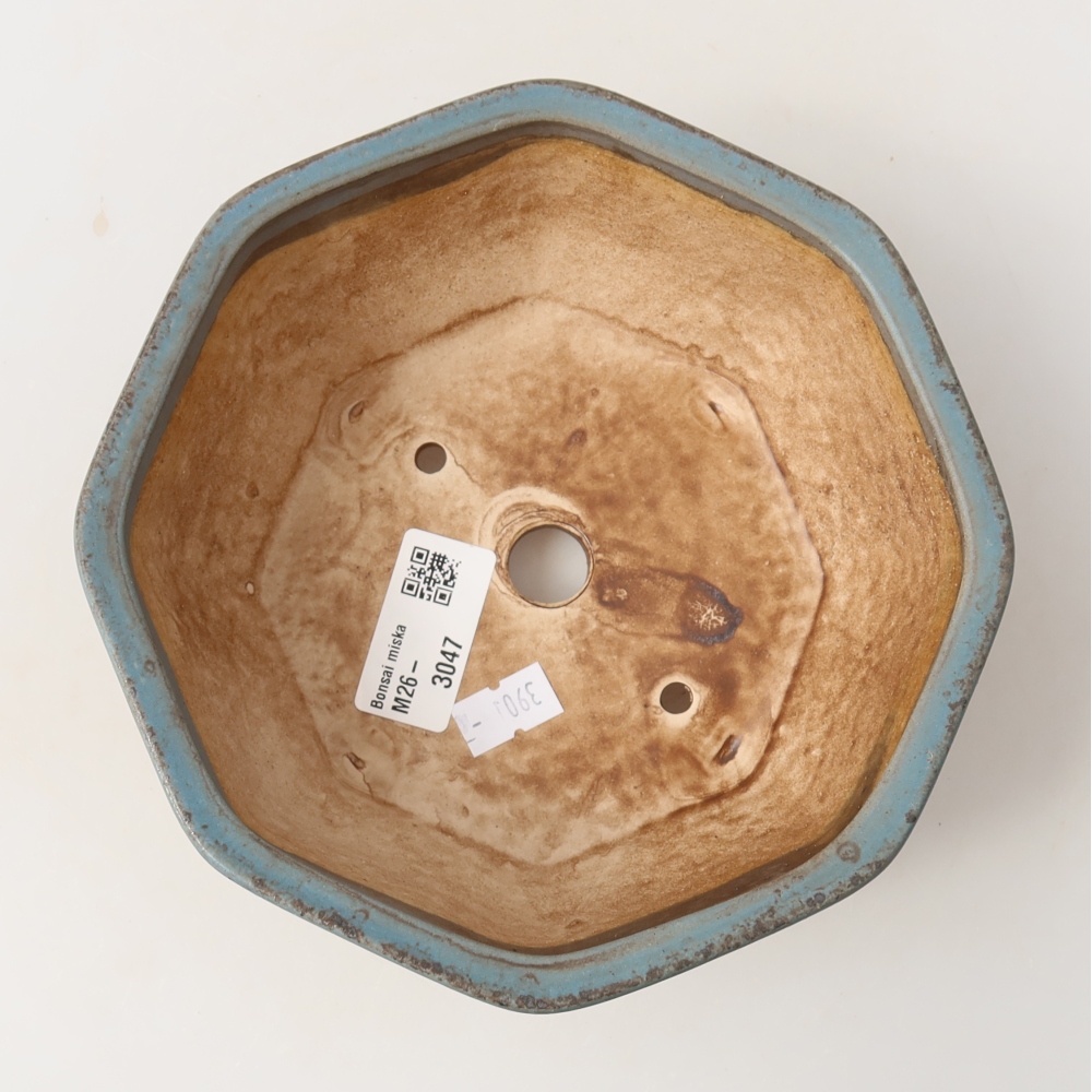 Vaso da bonsai in ceramica 17 x 16 x 6,5 cm, colore blu