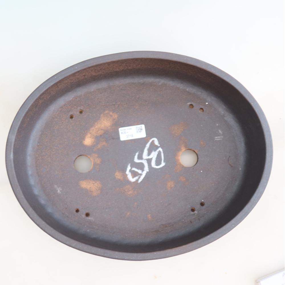 Vaso da bonsai in ceramica 38 x 30 x 7 cm, colore marrone