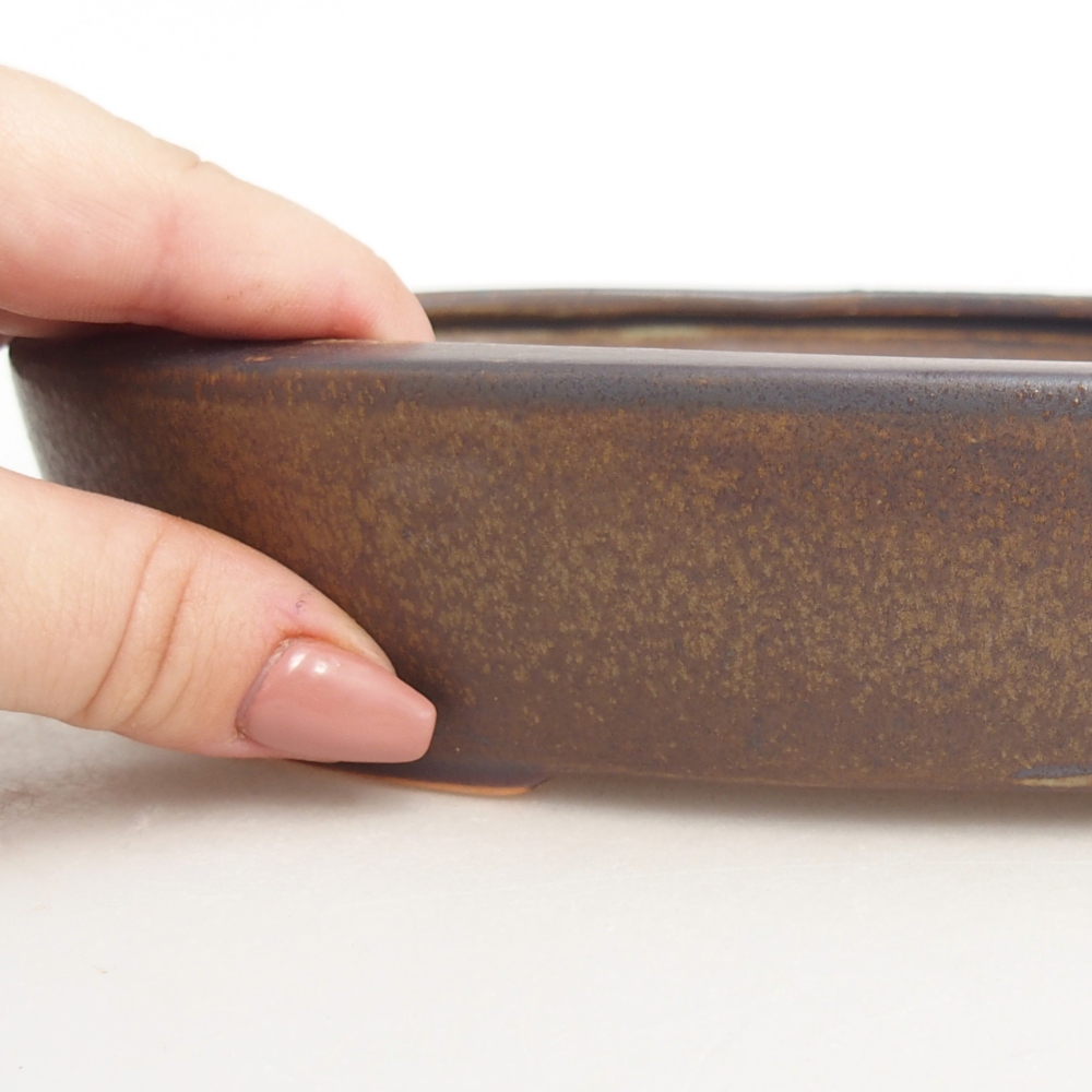 Ciotola per bonsai in ceramica 22 x 17 x 4 cm, marrone