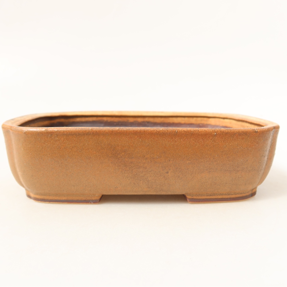 Ciotola per bonsai in ceramica 17,5 x 14 x 5 cm, marrone