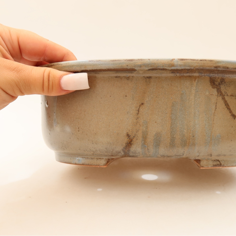 Vaso da bonsai in ceramica 23 x 19 x 8 cm, colore marrone