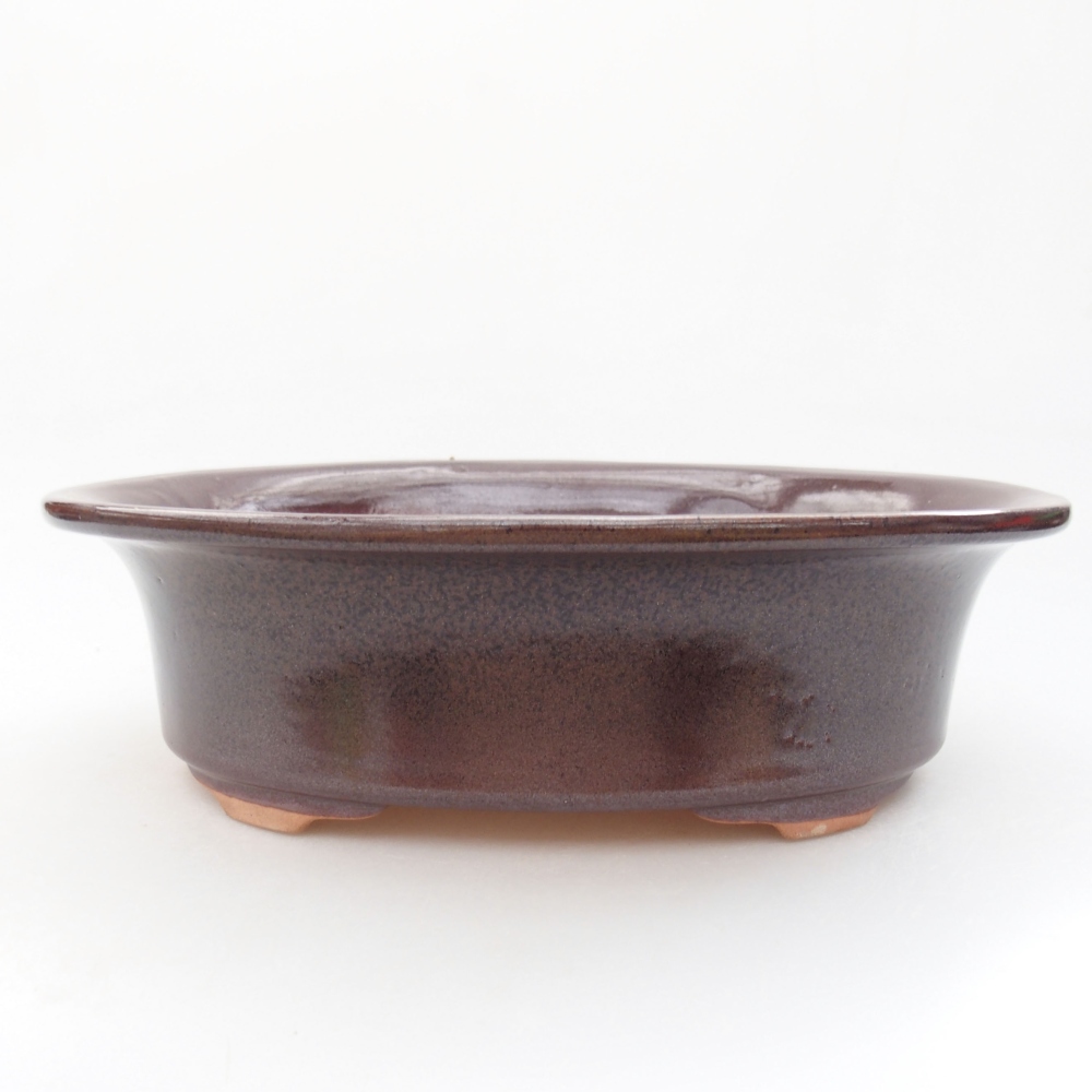 Ciotola bonsai in ceramica 22 x 17 x 5 cm, verde