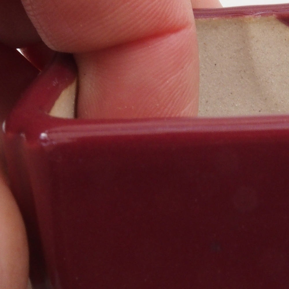 Mini bonsai 4,5 x 4,5 x 3 cm, bordeaux