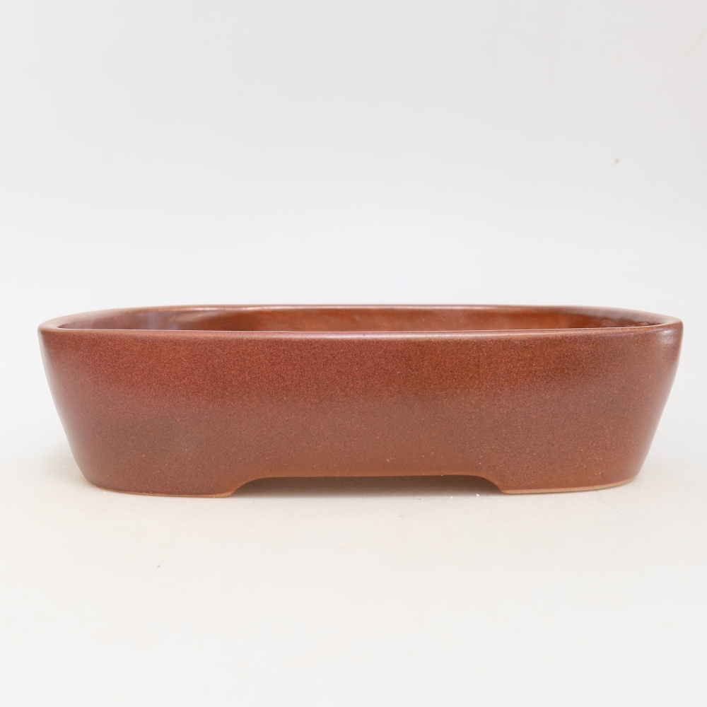 Ciotola per bonsai in ceramica 23 x 18 x 5,5 cm, bordeaux