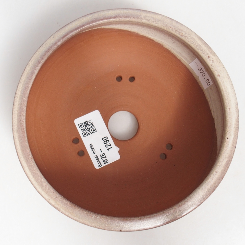 Ciotola bonsai in ceramica 14,5 x 14,5 x 5,5 cm, colore beige