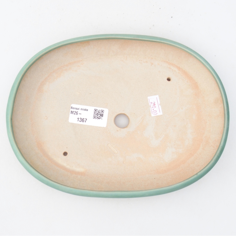 Ciotola per bonsai in ceramica 22,5 x 16,5 x 3 cm, verde