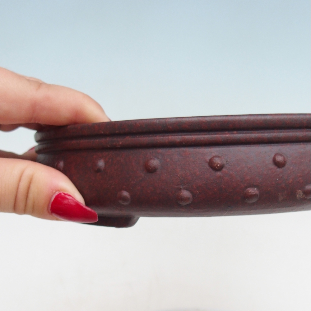 Ciotola per bonsai in ceramica 17,5 x 17,5 x 4 cm, marrone