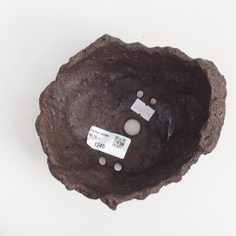 Conchiglia in ceramica 14 x 13 x 13 cm , colore marrone