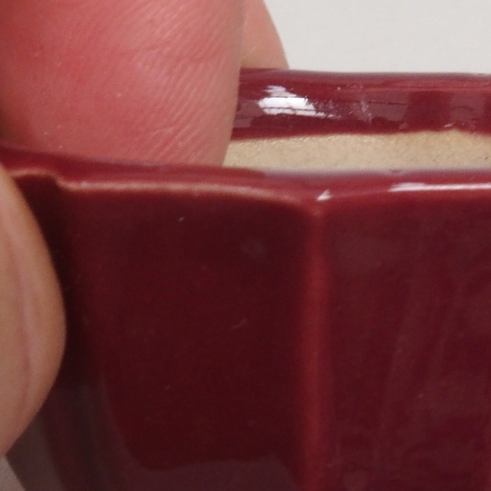 Ciotola per mini bonsai 5 x 5 x 3 cm, bordeaux